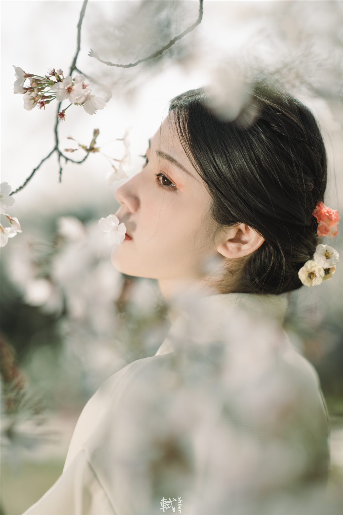A close portrait among soft white blossom branches