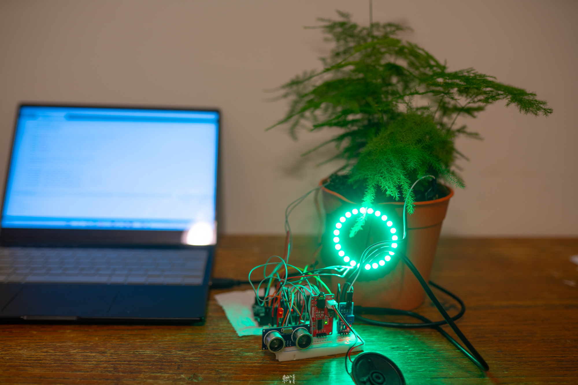 plant-companion project image 1