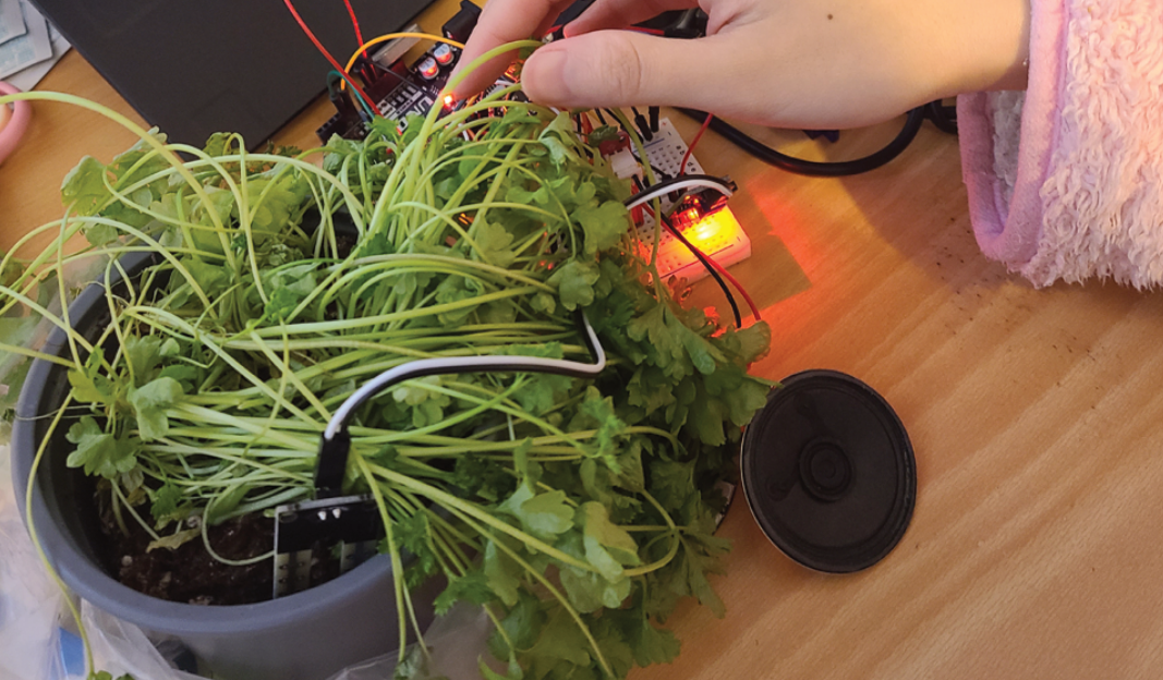 plant-companion project image 12