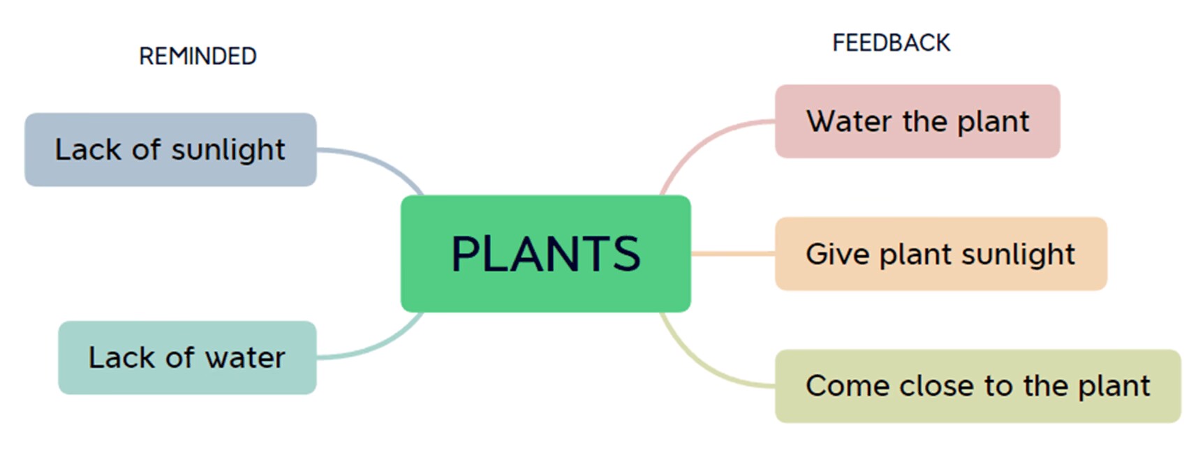 plant-companion project image 5
