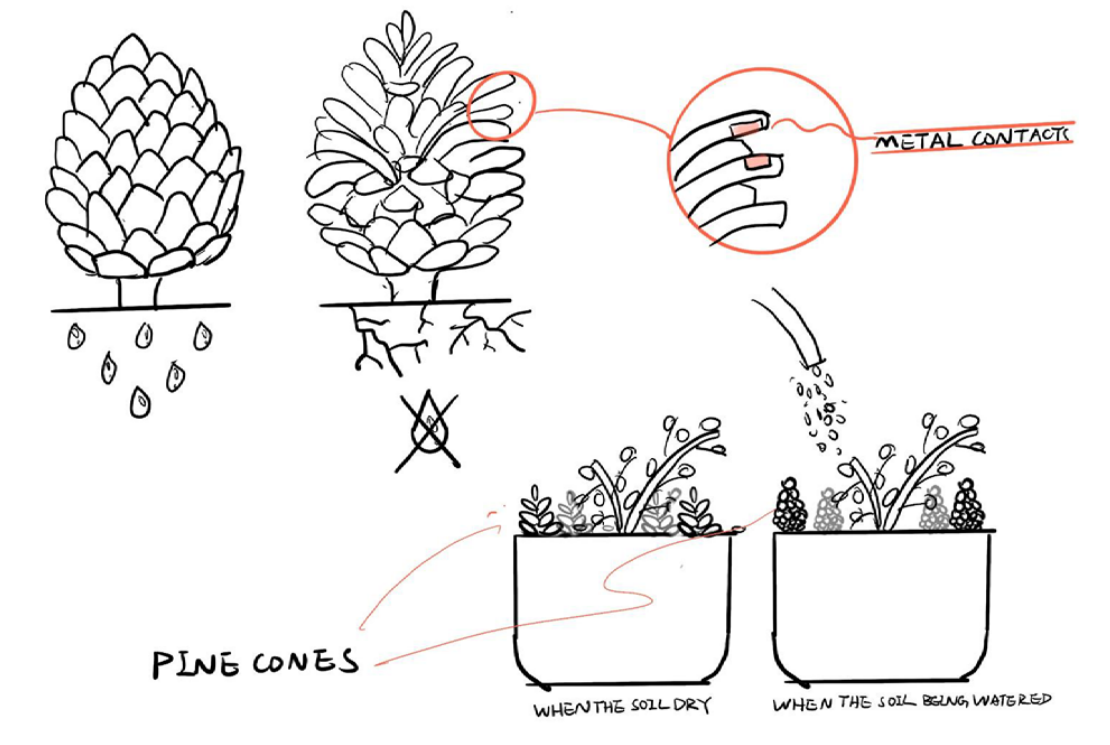plant-companion project image 7