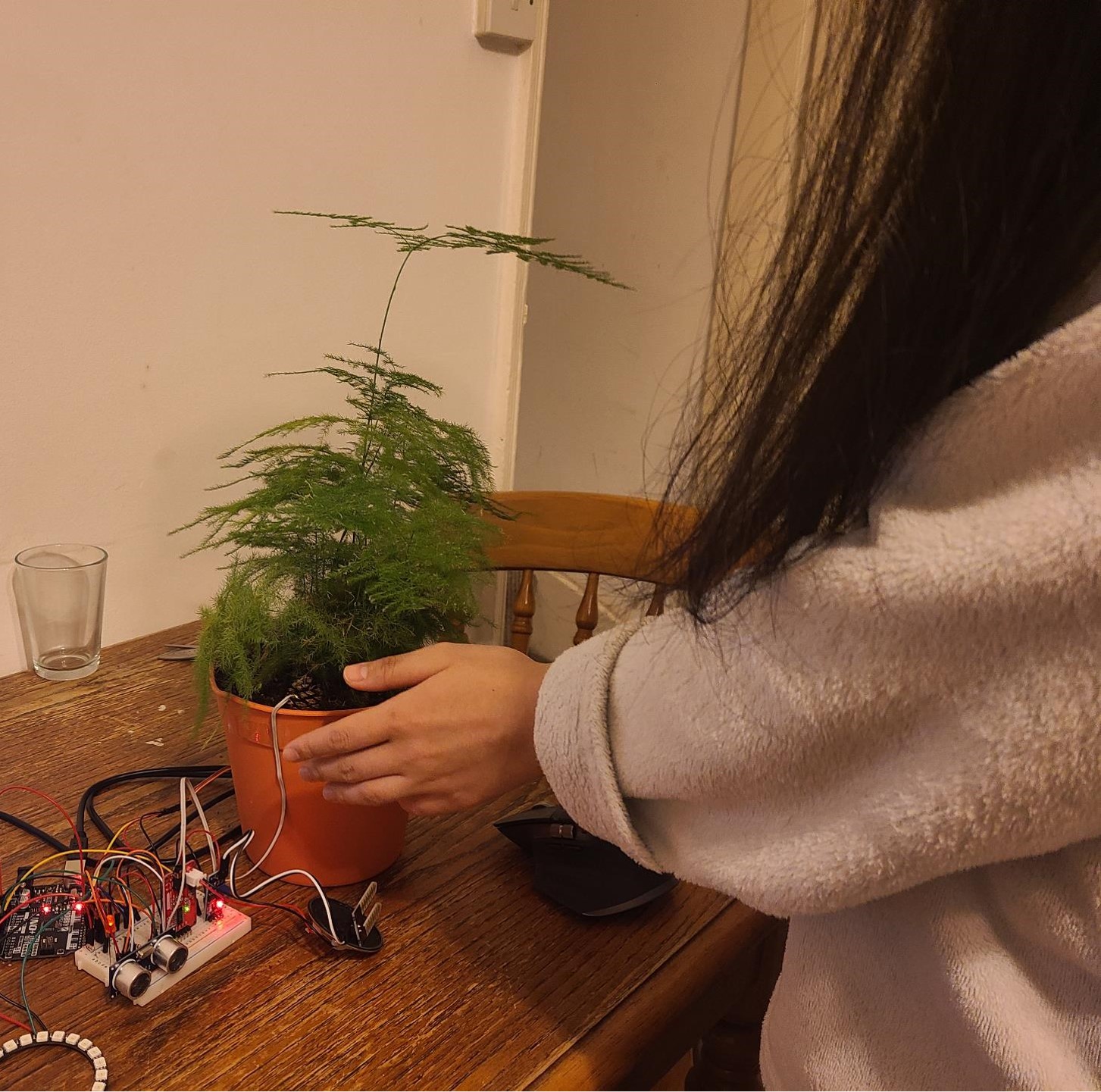 plant-companion project image 17