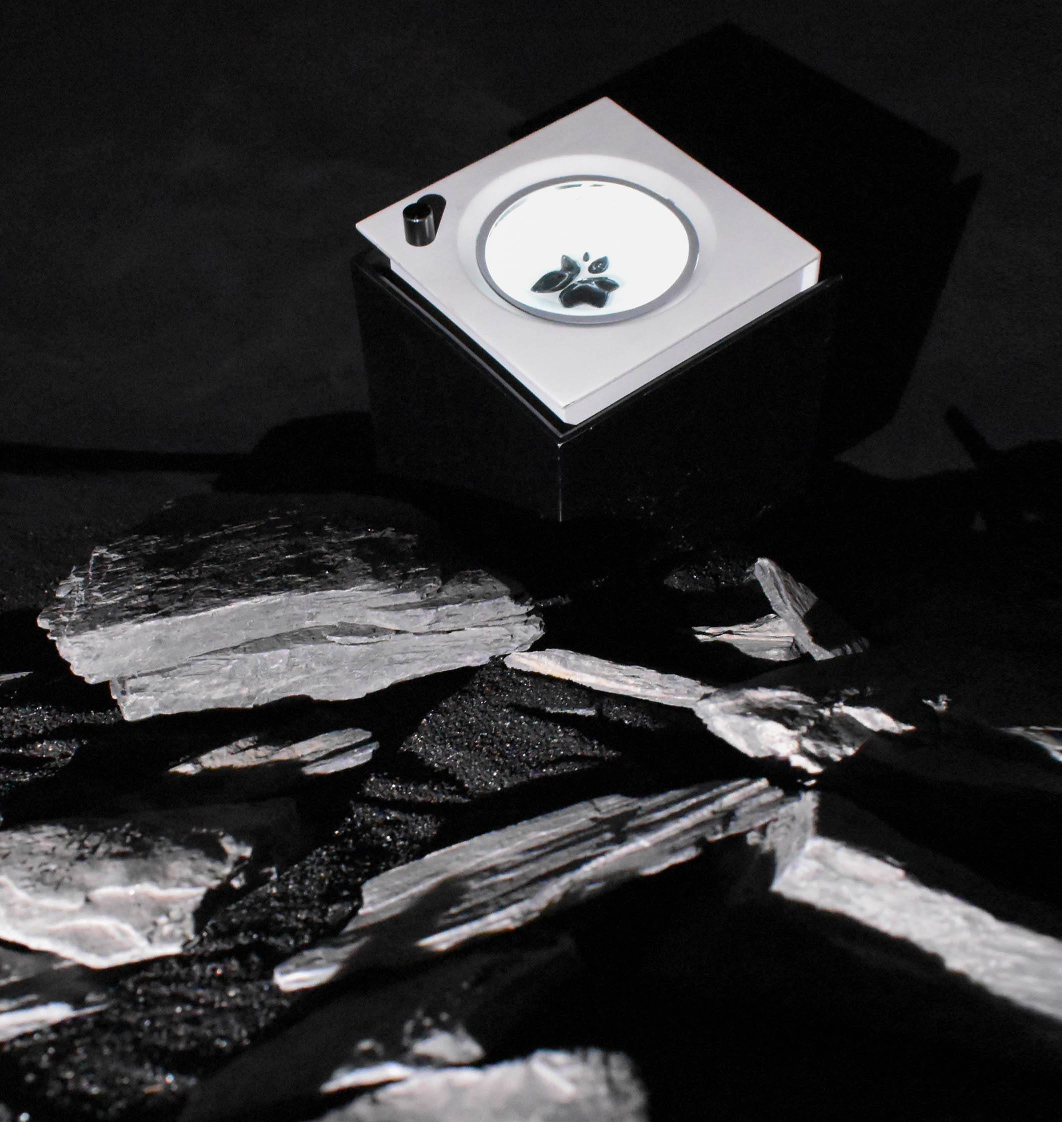 SpaceCube product model with light and ferrofluid material study